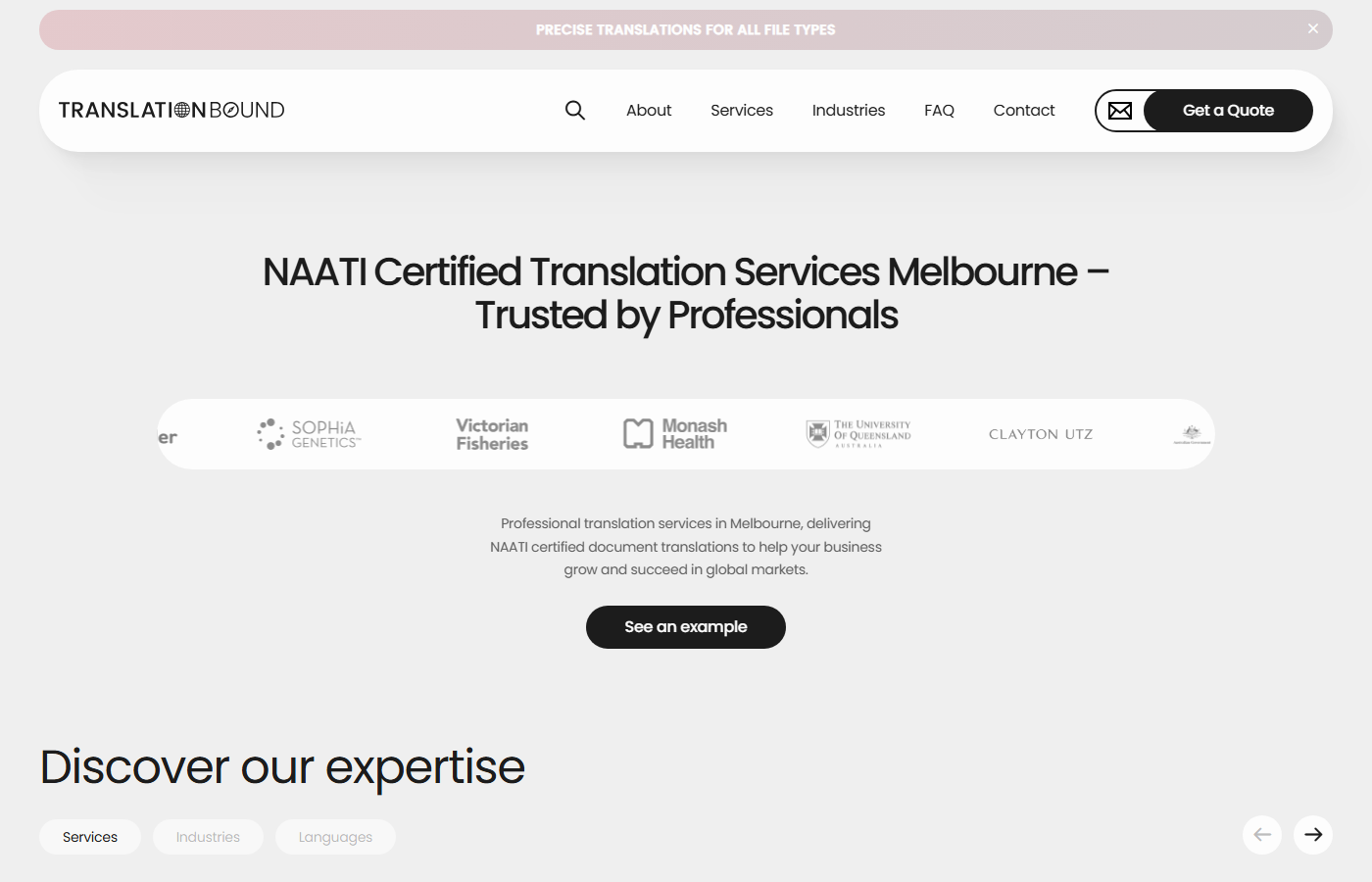 Translation Bound website preview